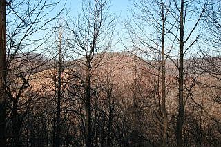 3rd image of 116 Grouse Run Dr
