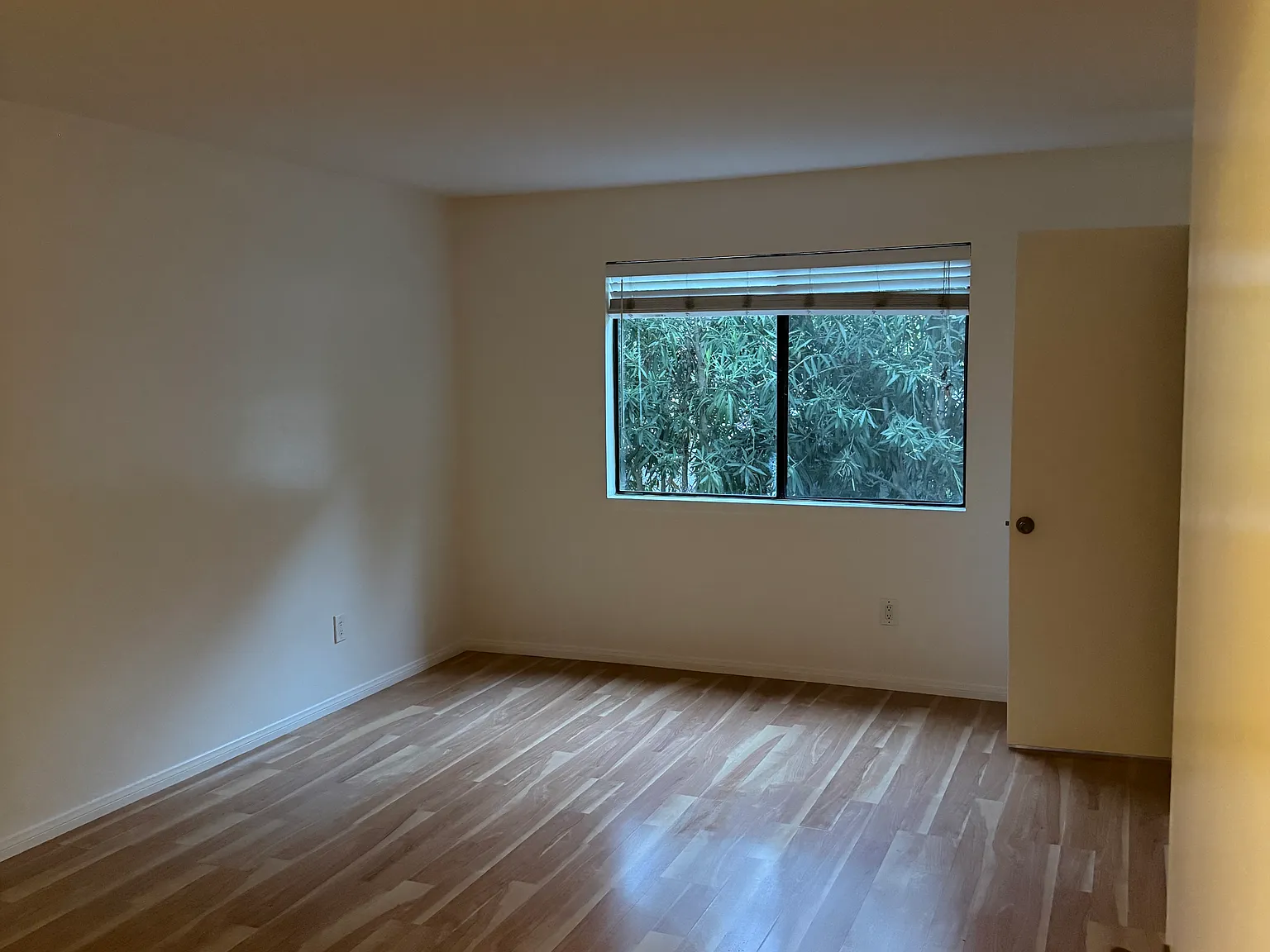 1 bed, 719 sqft, $2,400 — Photo 3