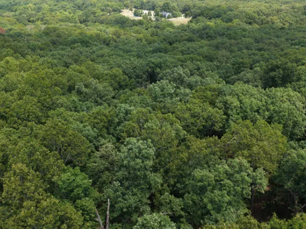 000 Highway 5, Gravois Mills, MO 65037