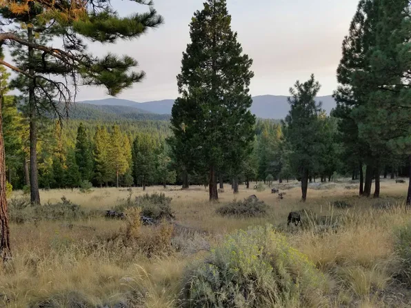 1121 Gold Star, Portola, CA 96122