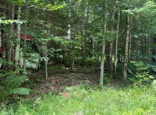 261 Uncas Rd, Inlet, NY 13360