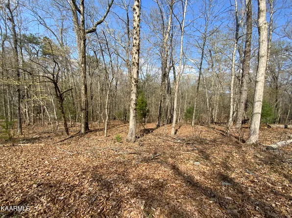 Rendezvous Rd Lot 21, Rockwood, TN 37854