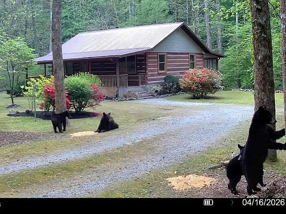 3rd image of 1256 E Millers Cove Rd