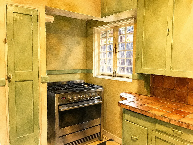 Professional gas stove
