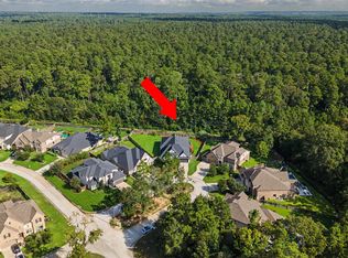 313 Lane Landing Pl, Montgomery, TX 77316