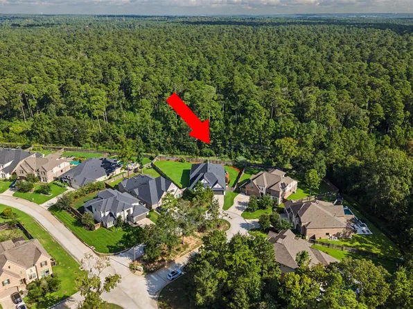 313 Lane Landing Pl, Montgomery, TX 77316