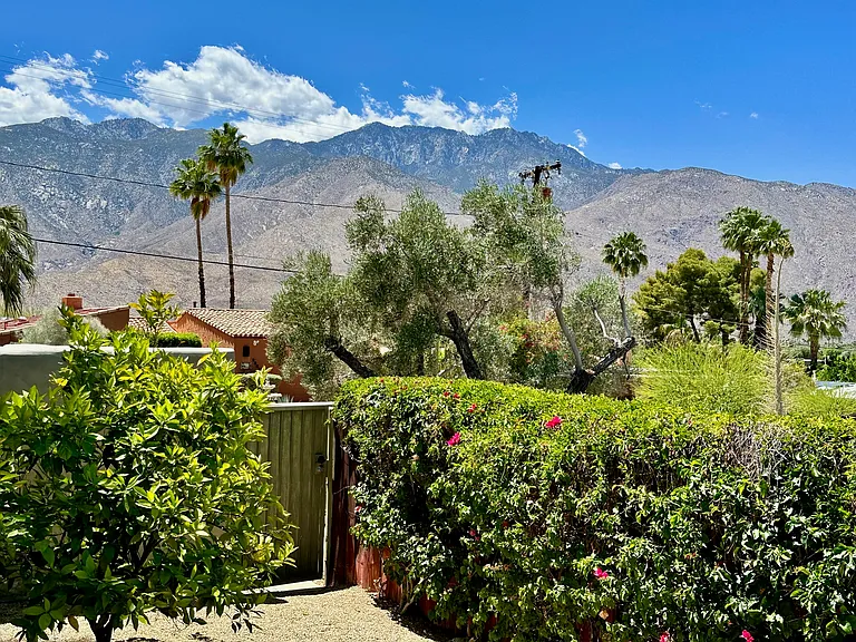 San Jacinto from West side yard
