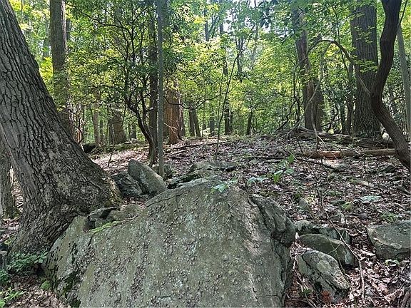 2nd image of 934 Skislope Rd