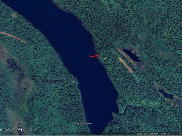 L39c Shell Lake, Skwentna, AK 99667