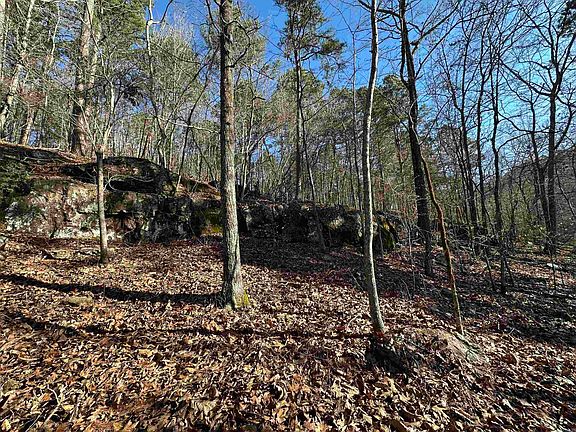 3rd image of 0 Bear Mountain Rd