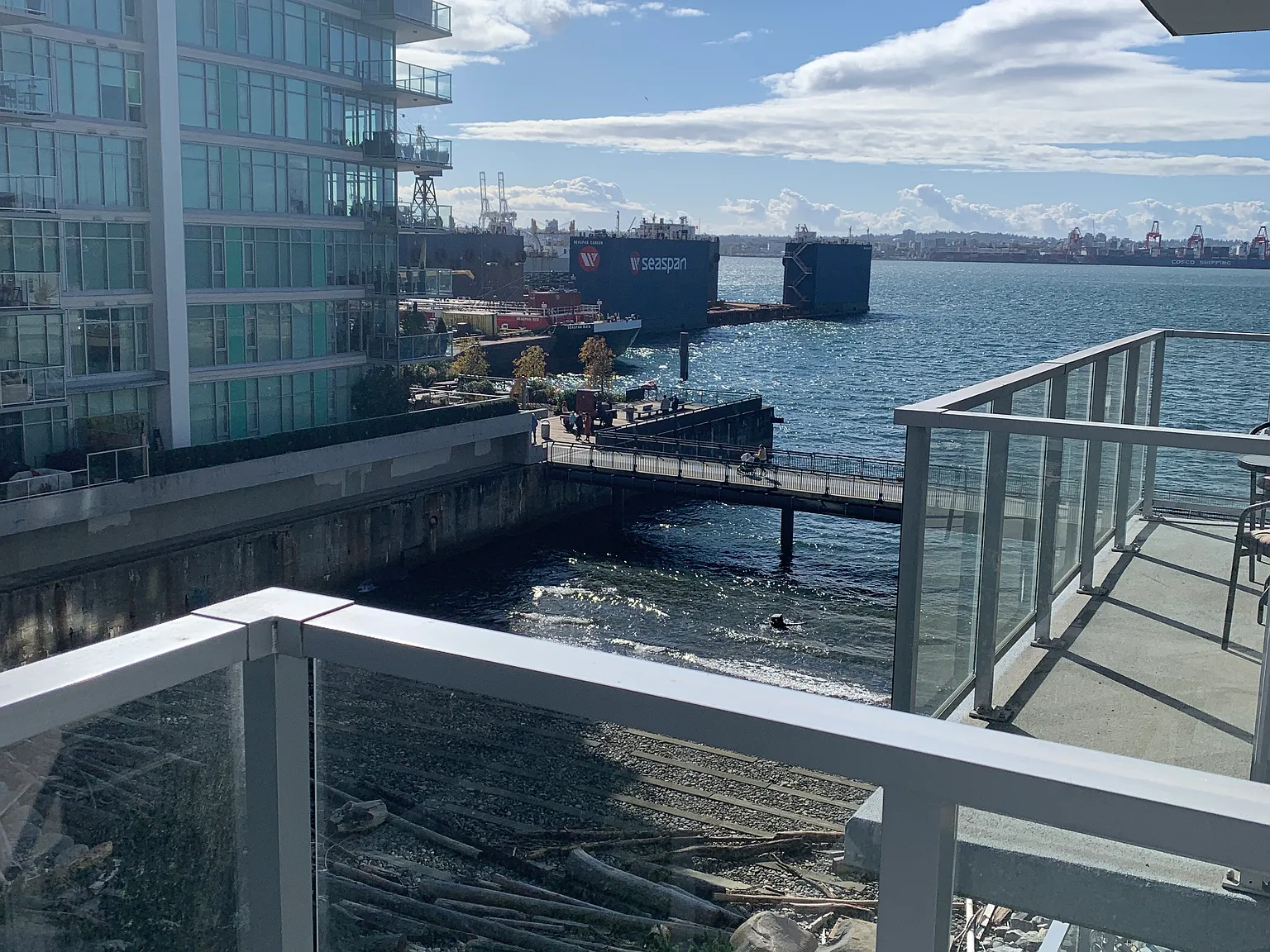 1 bed, 618 sqft, $2,950 — Photo 3
