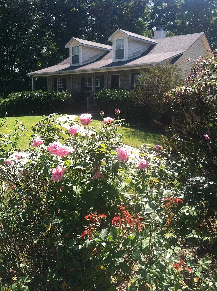 2035 Jackson Crossing Ct photo 1