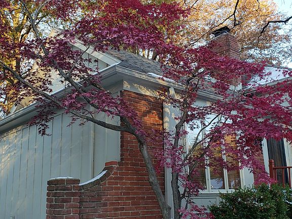 3rd image of 8224 W 97th St