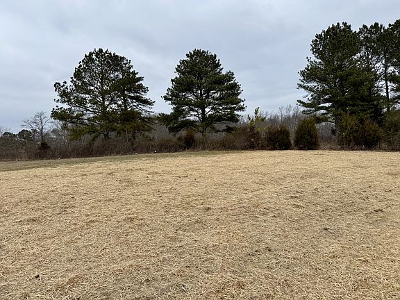 4th image of 235 Ralph Spivey Ln S