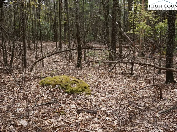 TBD Noah's Ridge, Fleetwood, NC 28626