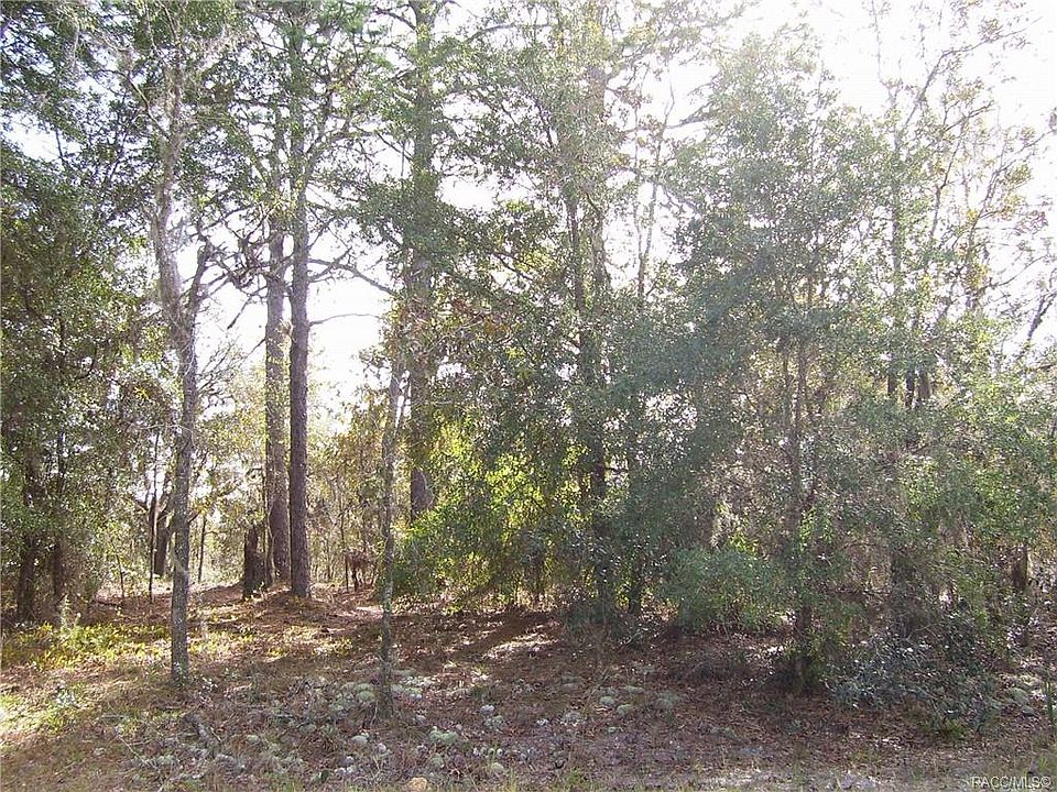1st image of 5842 W Connetquot Pl