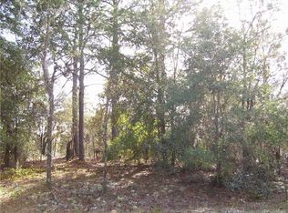 5842 W Connetquot Pl, Dunnellon, FL 34433