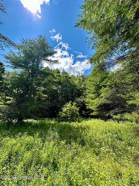 5th image of L11 Mountain Pond View Road