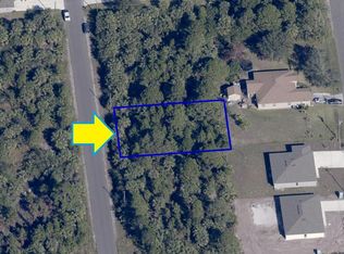 3181 La France Ave SW, Palm Bay, FL 32908