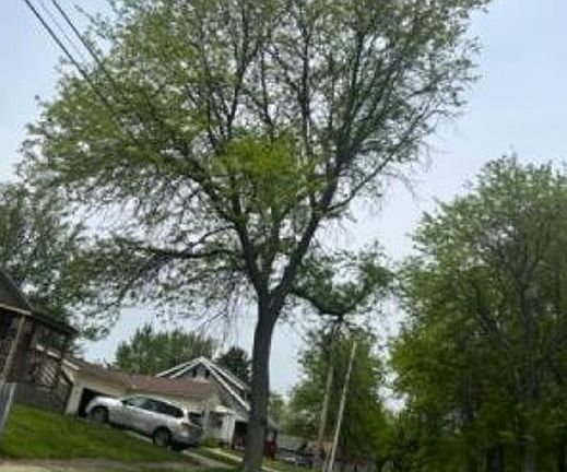Exterior Neighborhood (street photo)