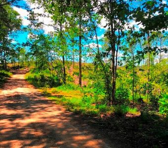 County Road 214, Fruithurst, AL, 36262