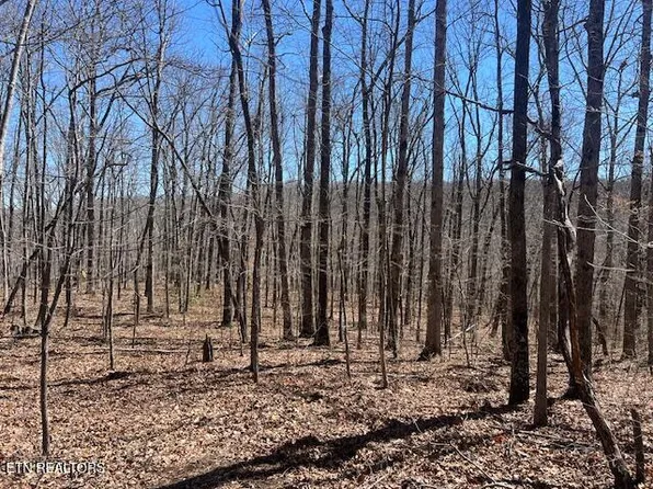 LOT 40 Pioneer Trail Ln, Crawford, TN 38554
