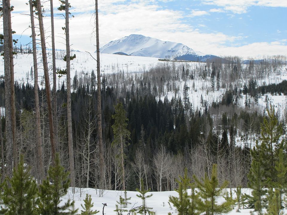 1st image of 100 MOOSE Trail