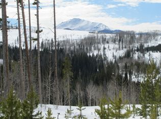 100 Moose Trl, Winter Park, CO 80482