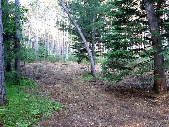 4th image of Curtis Lake Dr Lot 1