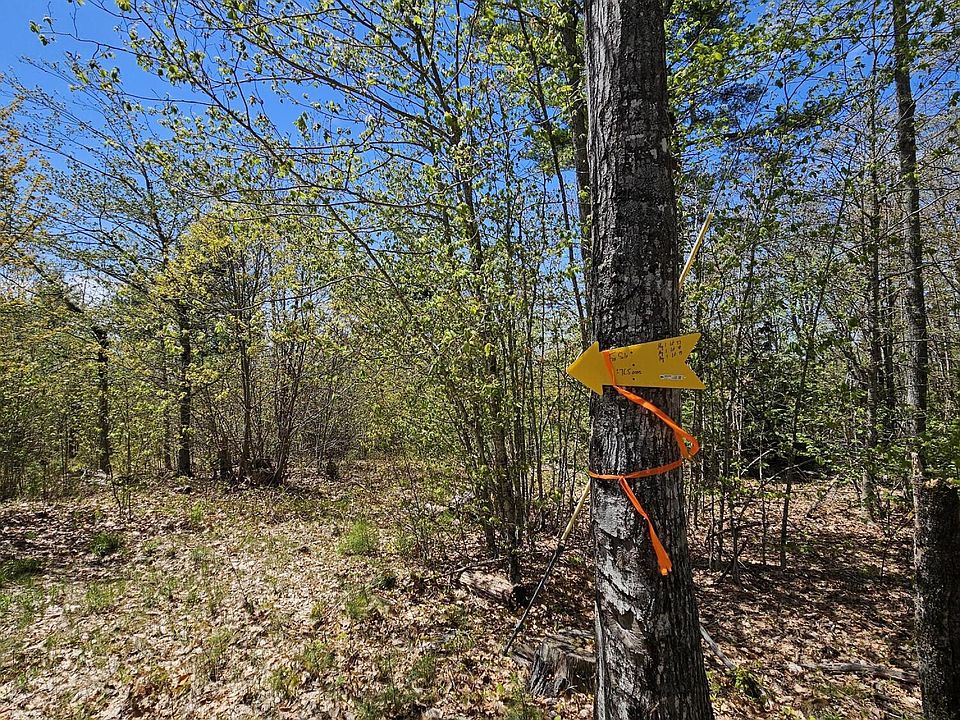 2nd image of Lot 47 Betts Road