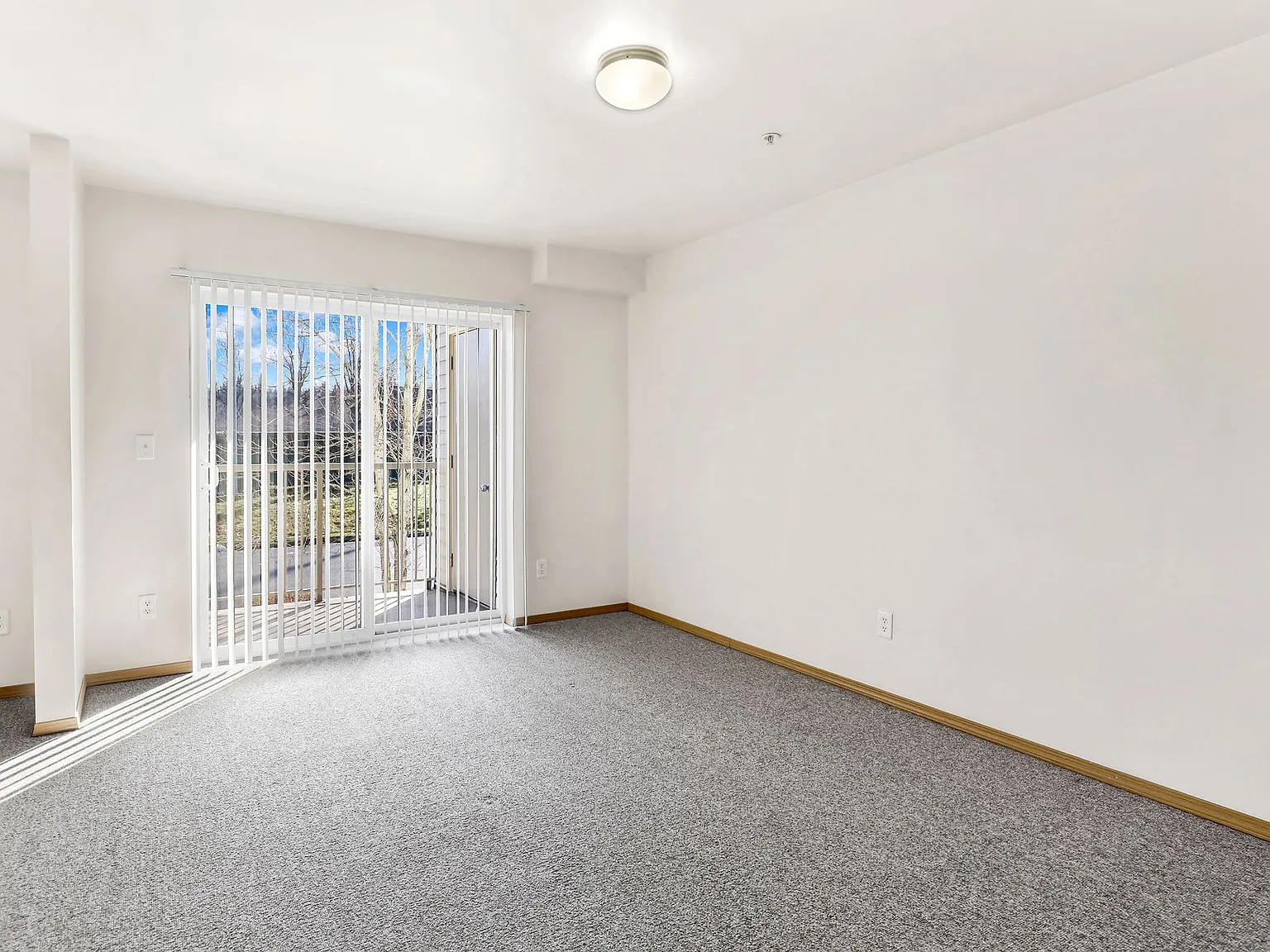 1025 Potter Street — Photo 3