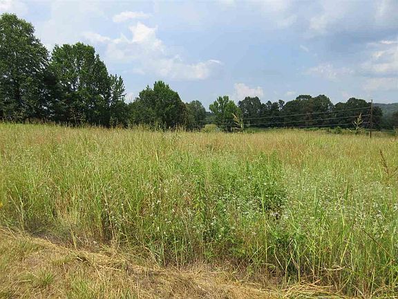 2nd image of LOT 53 Billy Nance Hwy Lot 53