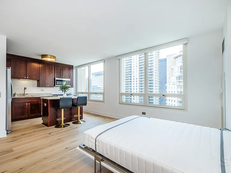 33 W Ontario St #31D — Photo 12