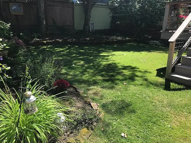 Fully fenced in well established back yard with large lawn area