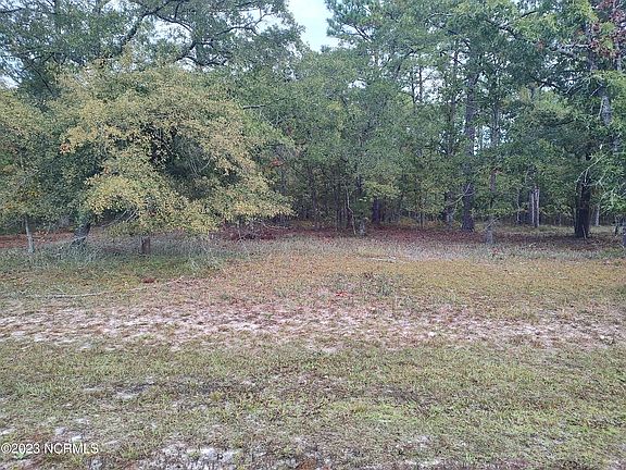 2nd image of 2304 Caracara Drive LOT 303