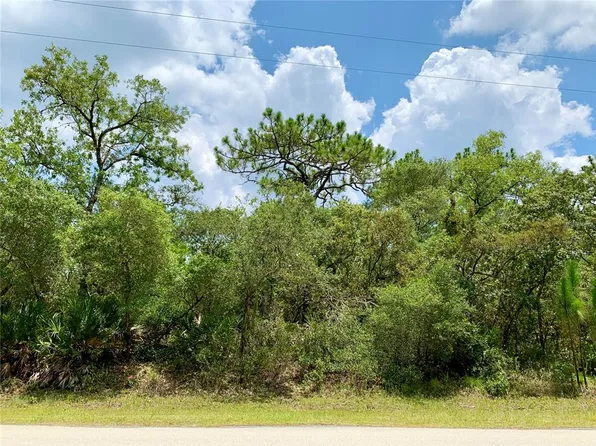 LOT 3 W Thyme Ave Lot 3, Eustis, FL 32736