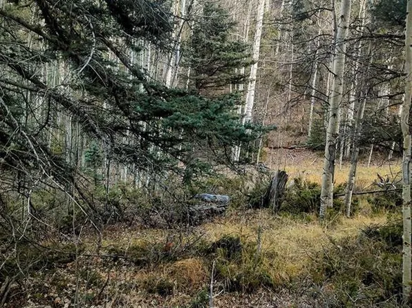 LOT 6364 Jacquez Road, San Luis, CO 81152