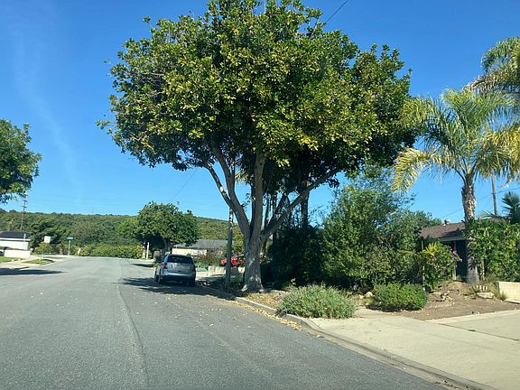 4th image of 384 Imperial Ave