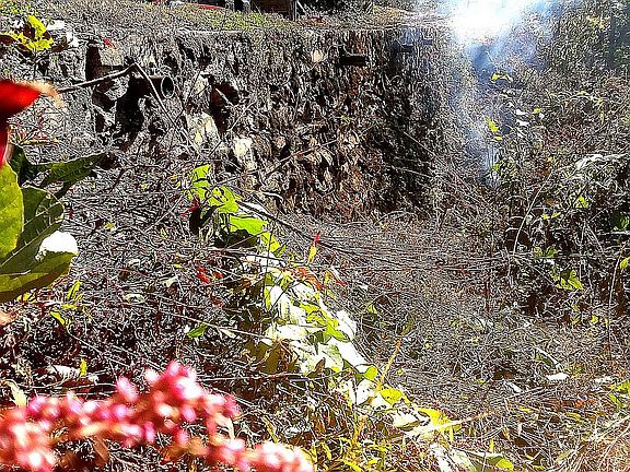 Stone bridge on property