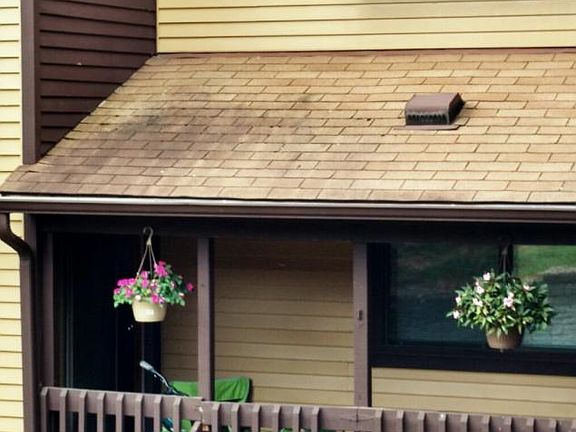 4th image of 708 Summer Hill Dr