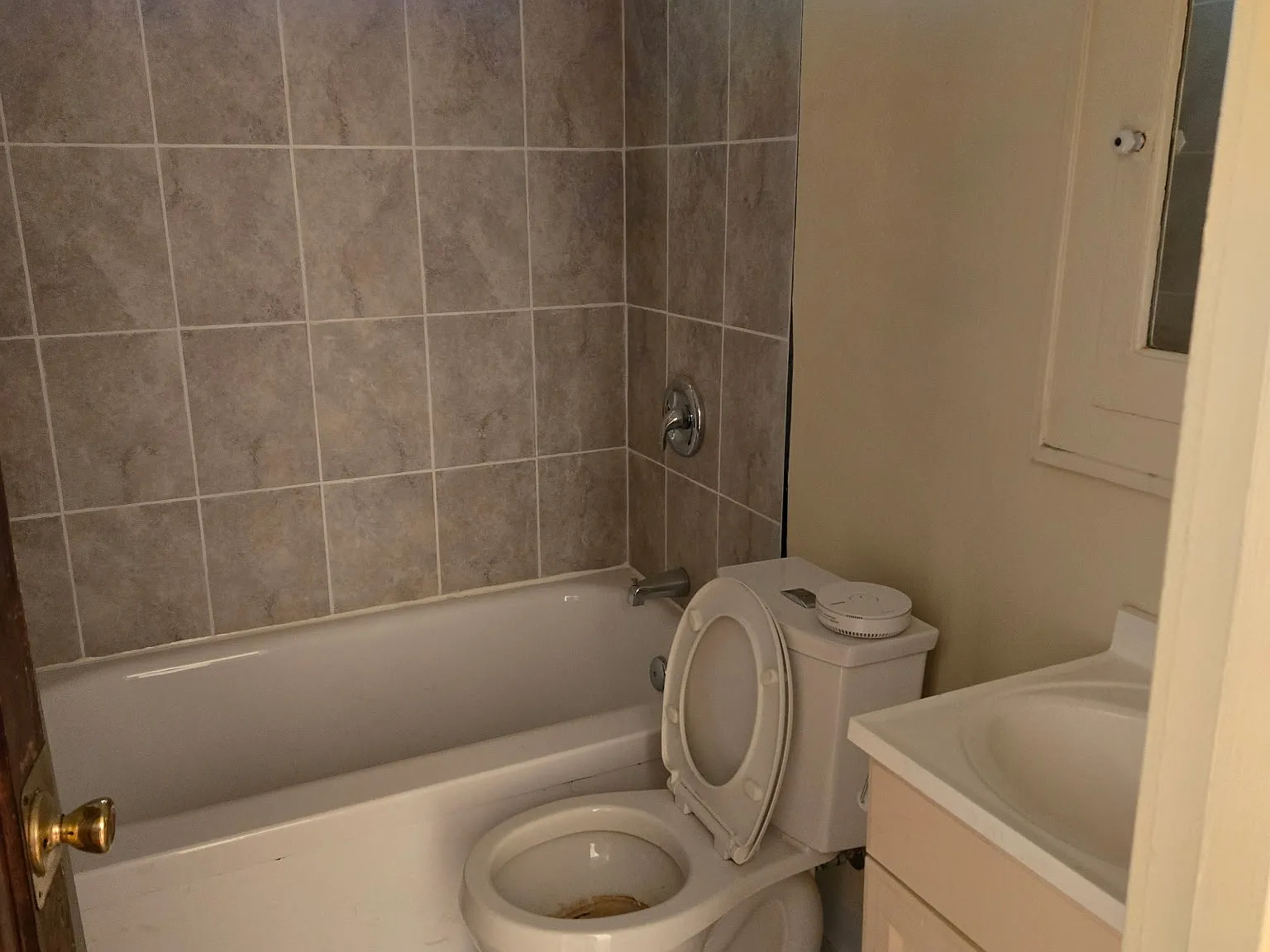 2 bed, 1000 sqft, $1,250 — Photo 4