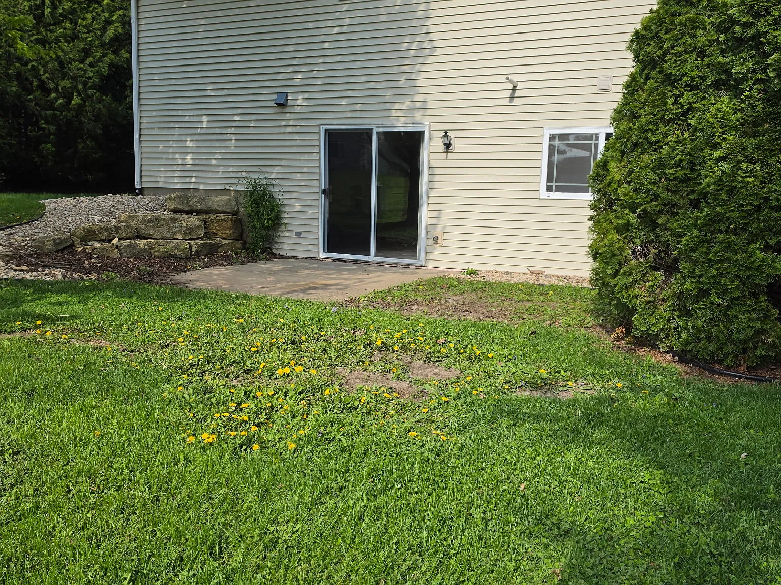 1008 Georgene St — Photo 4