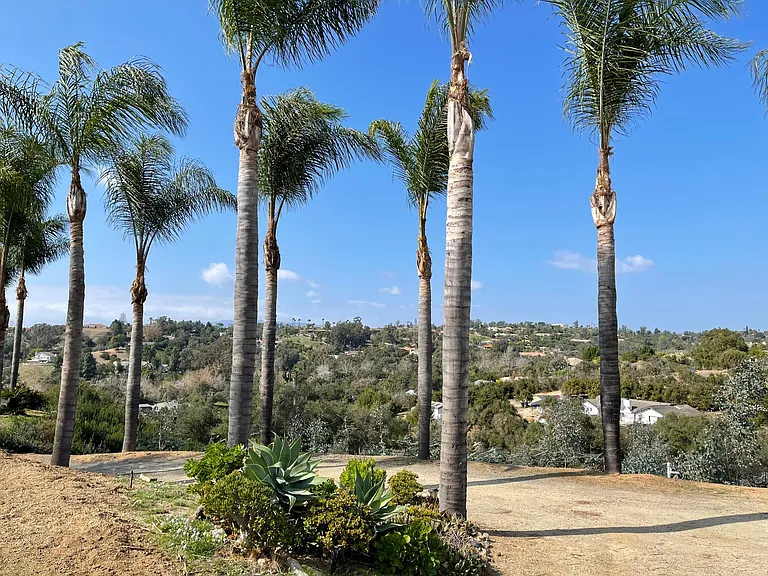 Los Cerritos Ln — Photo 22