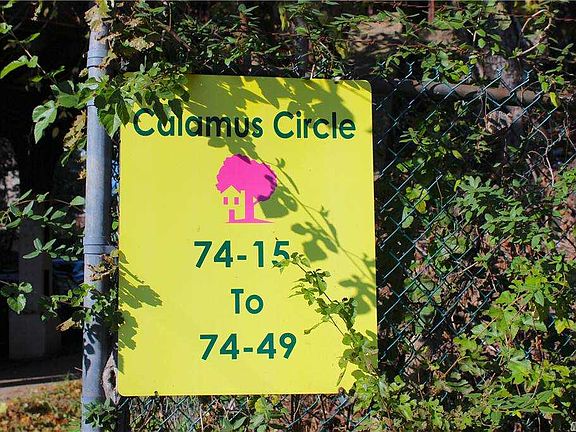 4th image of 74-49 Calamus Cir #1