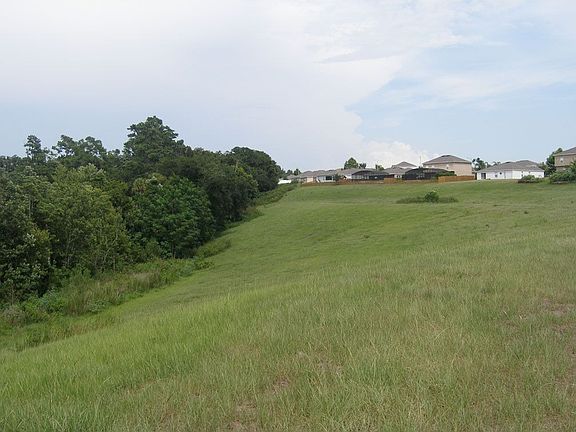 View from backyard -- Beautiful!