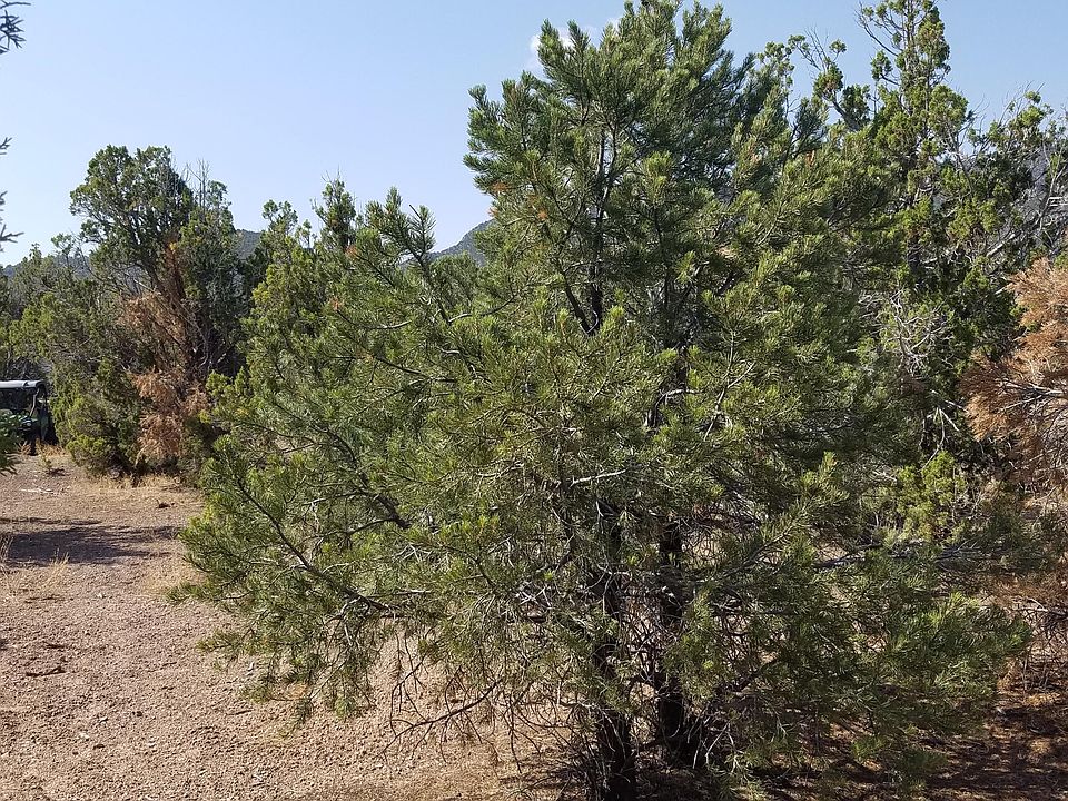 1st image of 4289 S Arrowhead Ln
