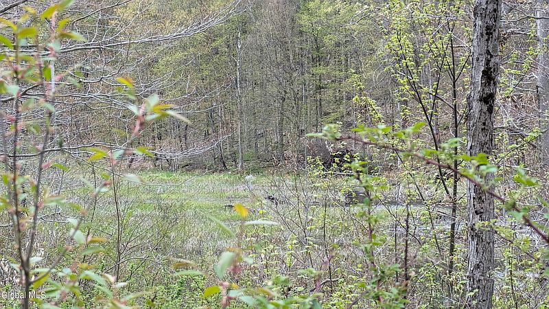2nd image of L1.12 COUNTY HIGHWAY 56 #Granshue Rd