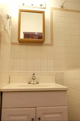 Rented by Link NY Realty | media 16