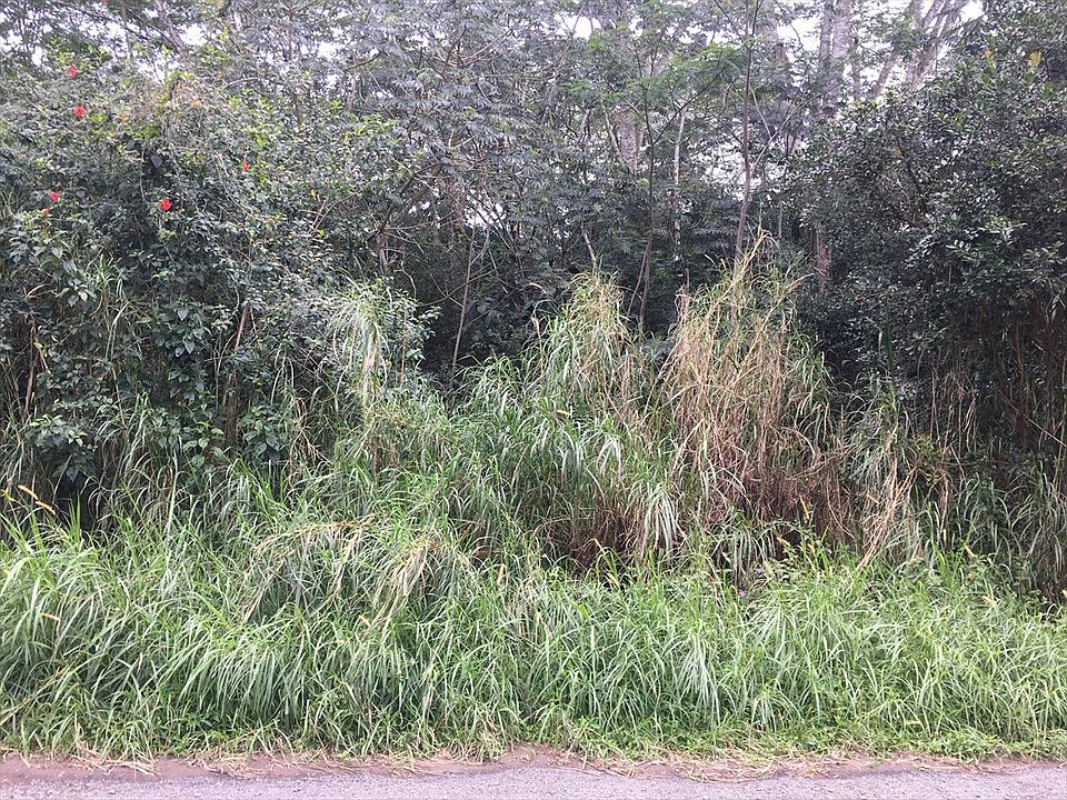 1st image of 20th Ave Lot 1402