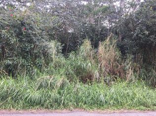 20th Ave LOT 1402, Keaau, HI 96749
